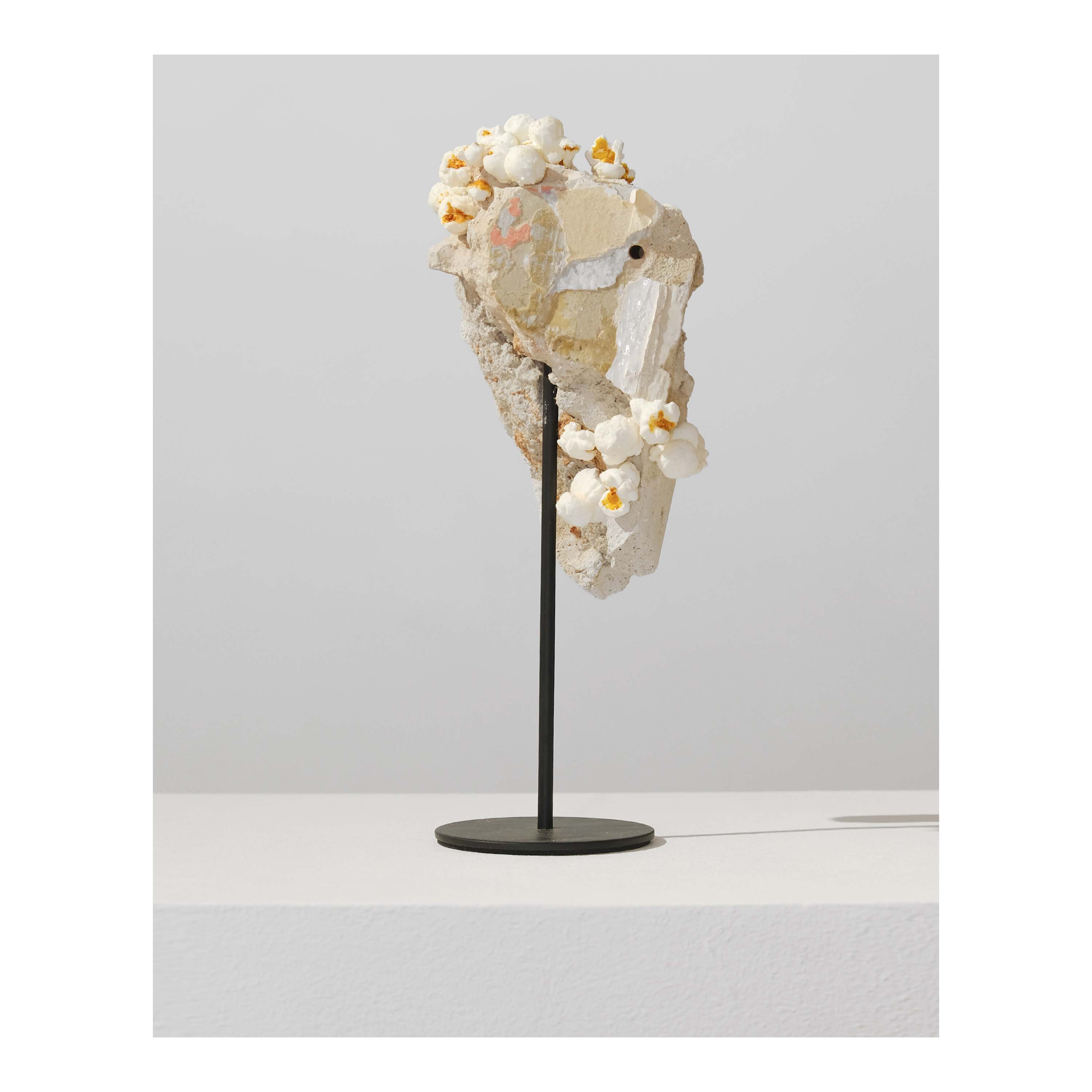 Paral·lel StandingP, Nicole Vindel